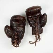 Adoption Of Boxing Gloves
