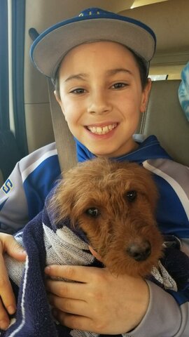 Got my first dog, Zoey.