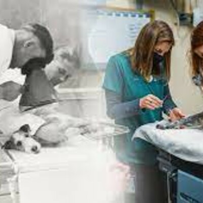 Timeline: History of Veterinary Medicine