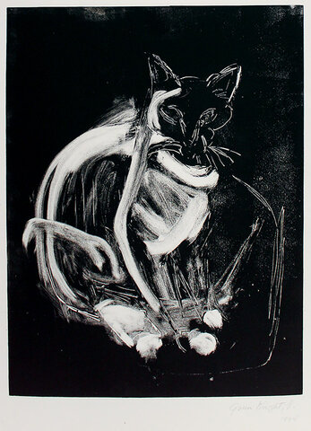 Gato, Gwendolyn Clarine Knight, Barbados.