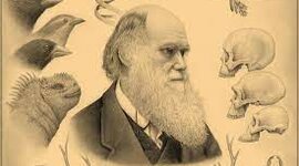 Timeline: Darwin Timeline 1809-1882