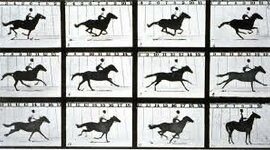 Timeline: The Motion picture evolution.