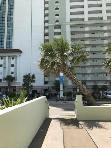 First ever out of state baseball tournament