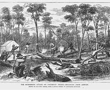 The date of the shootout at Stringing Bark Creek