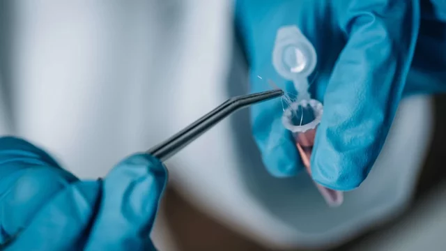 Hair analysis was first used in a legal court case