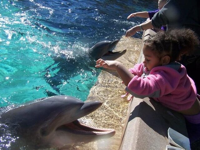 Potential Level of Development (Vygotsky)