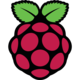 Raspberrry pi logo