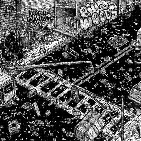 billy woods - Known Unknowns