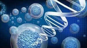 Reprogramacion celular