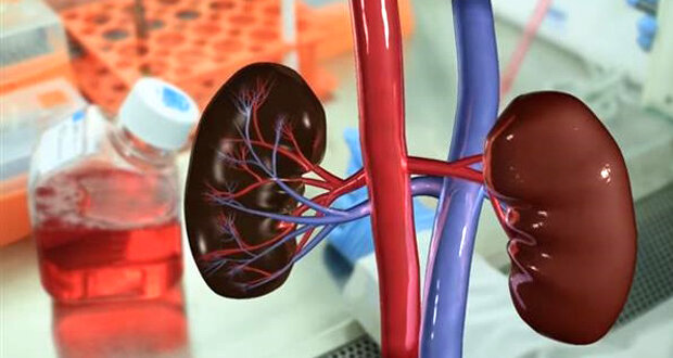 Impresión 3D de órganos del cuerpo humano