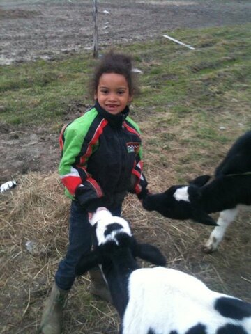 Autonomy vs. Shame, Doubt (Erickson) (Early Childhood Period)