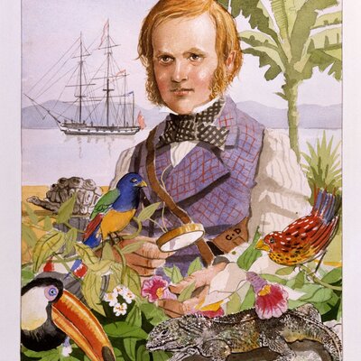 Timeline: Charles Darwin - February 12, 1809 to April 19, 1882