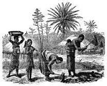 Antropología social,