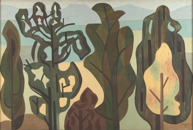 Sombras de la Sabana