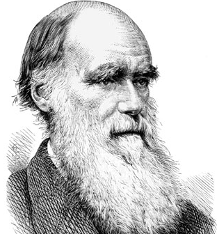 Darwin