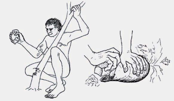 Descubrimiento de las piedras filosas (2.6millones )