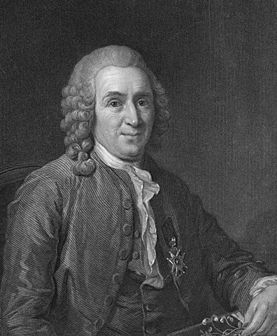 Carl Von Linné