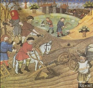 Difícil repoblament