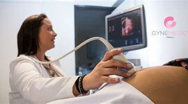 Timeline: Procedimientos a embarazadas según sus semanas de gestación