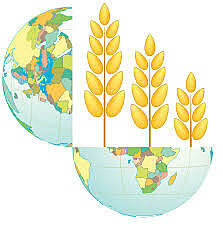 Abasto y subsistencias populares - Plan de acción inmediata - Procuraduría Federal de Defensa del Consumidor