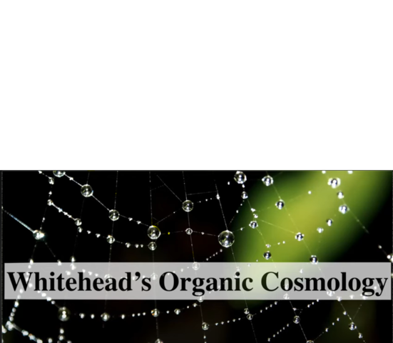 Alfred North Whitehead: His Life and Work