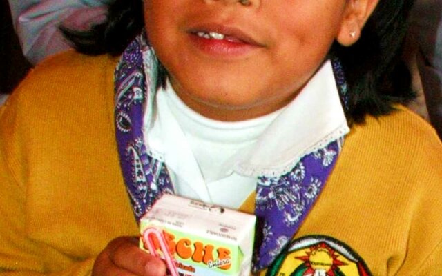 Programa de leche escolar