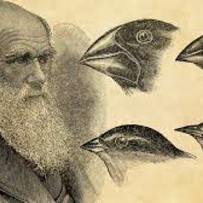 Timeline: Charles Darwin (Feb. 1809 - Apr. 1882)