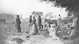 Timeline: Història de l'esclavitud als Estats Units