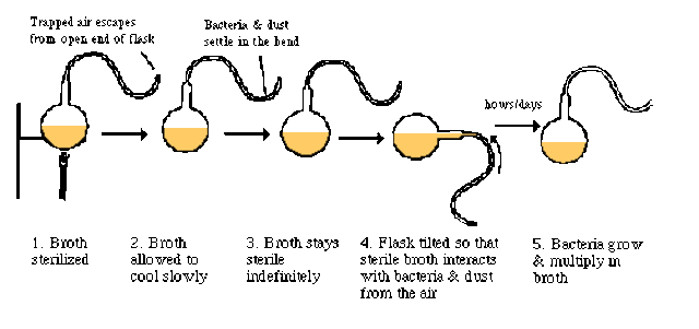 Spontaneous Generation