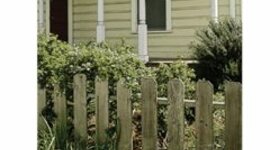 Timeline: South Park Neighborhood and School