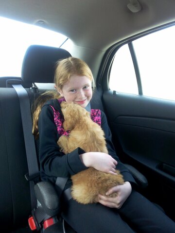 Lily Joins the Family