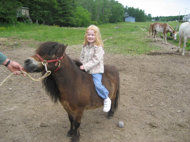 First time riding a horse