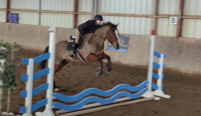 Horseback Riding lesson