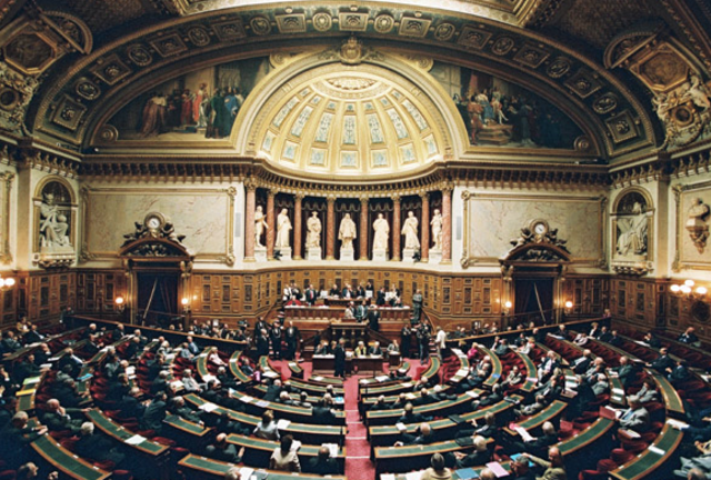 Immigrant's right to vote at the Senate