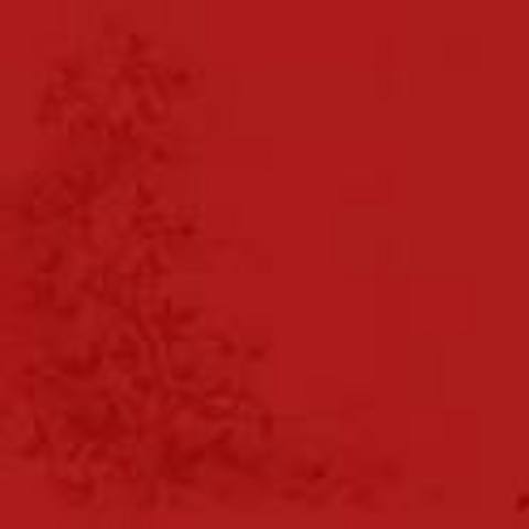 Color was created in Animation