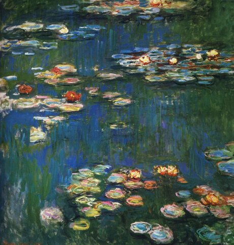 Water Lilies