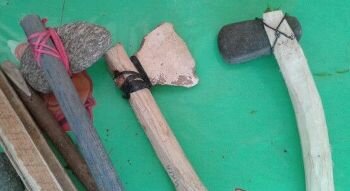 aparicio agricultura