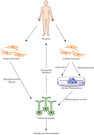 La reprogramación celular