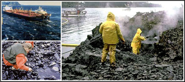 Exxon Valdez Oil Spill