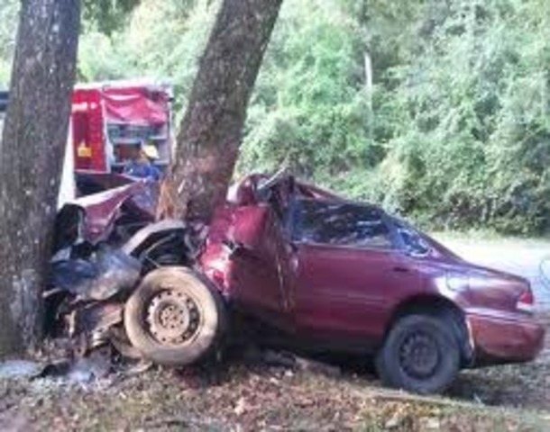 i hit a tree going 115mph