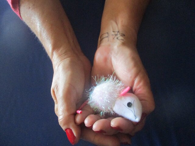 Primera visita de Berta: presentación