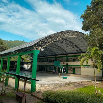 Timeline: Natalia Fuentes Castañeda