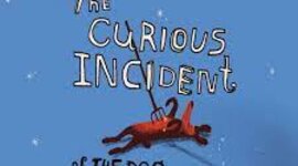 Timeline: The Curious Incident of the Dog in the Night-time