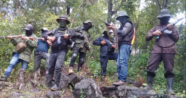 Fuerza de liberación chiapas