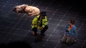 Police arrive Chapter:11