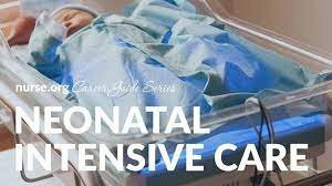 Camryn Figures out her Life