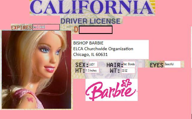 the day i got my license