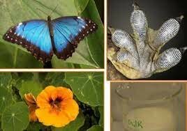 Nanomaterials invisibles