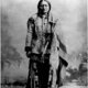 Sitting bull