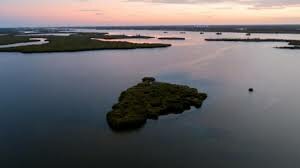 Pelican Island